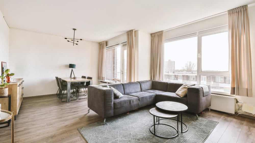 Scandinavian living room with white sofa and pale wood