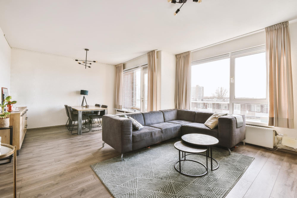 Scandinavian living room with white sofa and pale wood