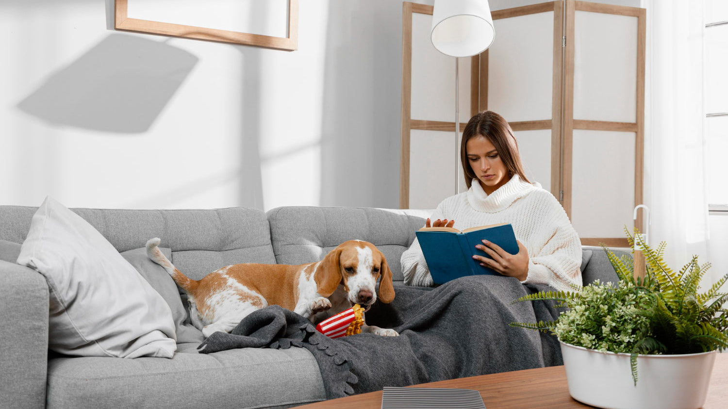 Reading nook with deep chaise and floor lamp