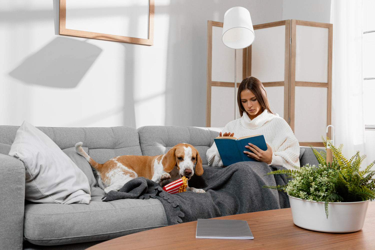 Reading nook with deep chaise and floor lamp