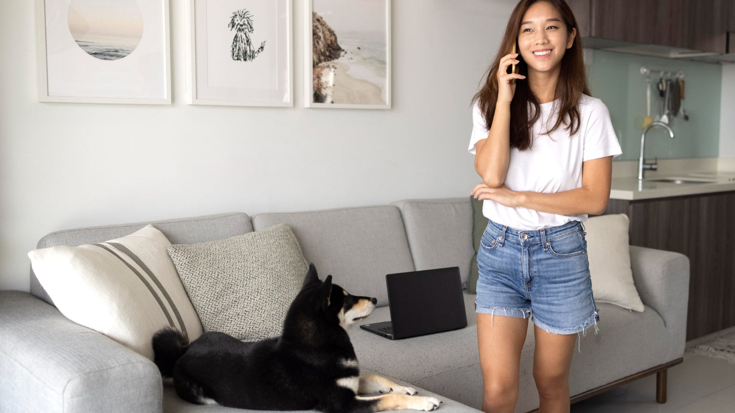 Mid-century modern living room with low-profile sofa and walnut credenza