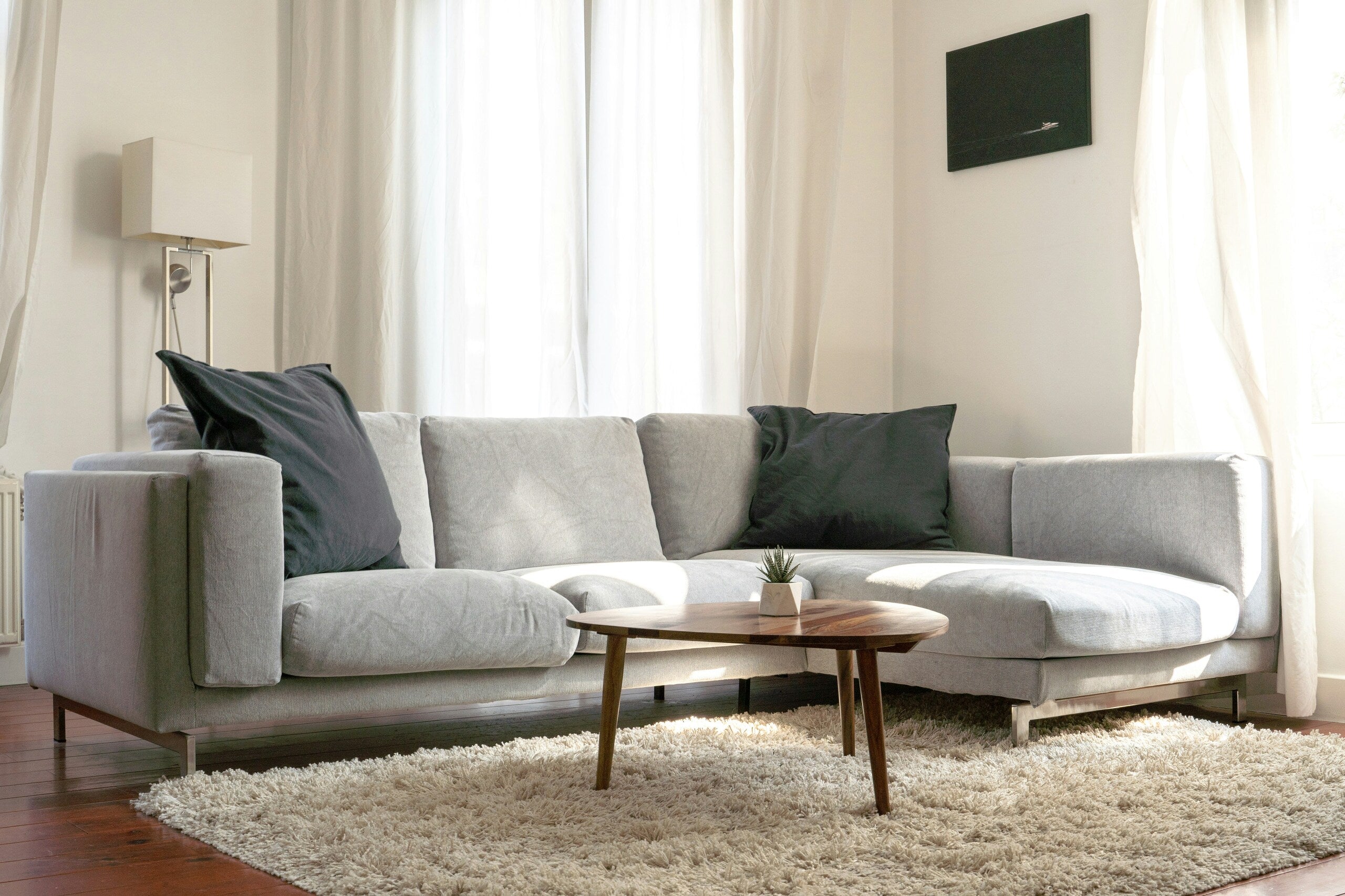 What Couch Color Should I Get?: A Guide on Choosing a Sofa Color