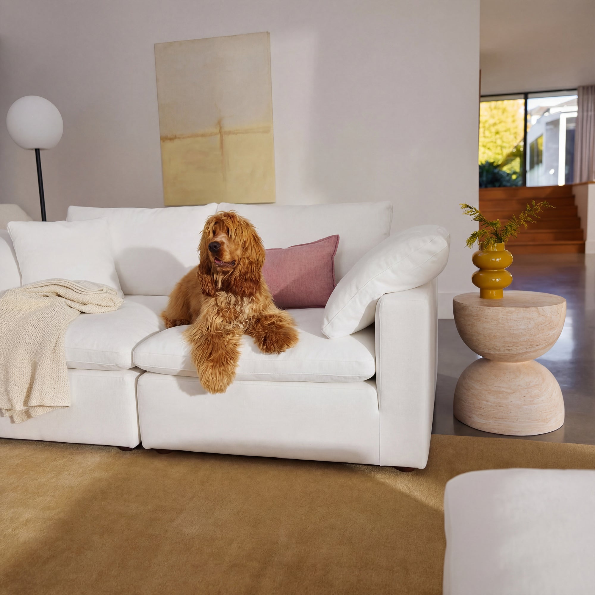 Pet-Friendly Sofas That Do Not Look Like Pet-Friendly Sofas