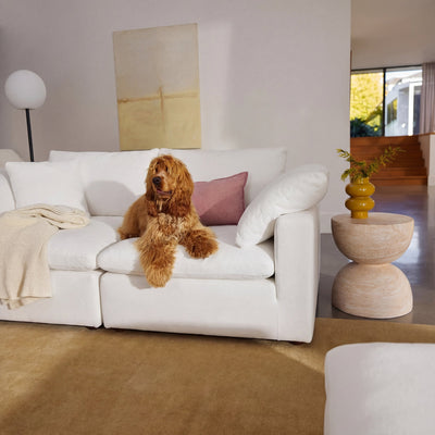 Pet-Friendly Sofas That Do Not Look Like Pet-Friendly Sofas