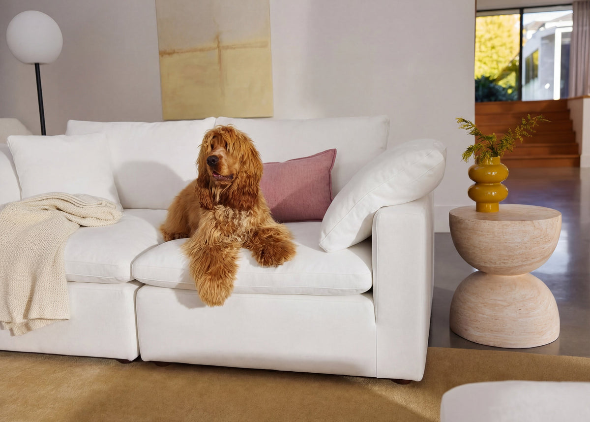 The 9 Best Cloud Couch Dupes of 2026 (Tested & Compared)