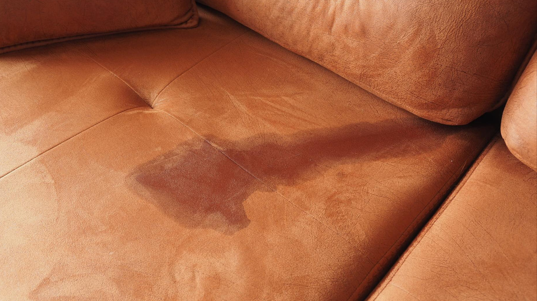 Your Number 1 Guide on How to Get Urine Smell Out of Couch After It Has Dried