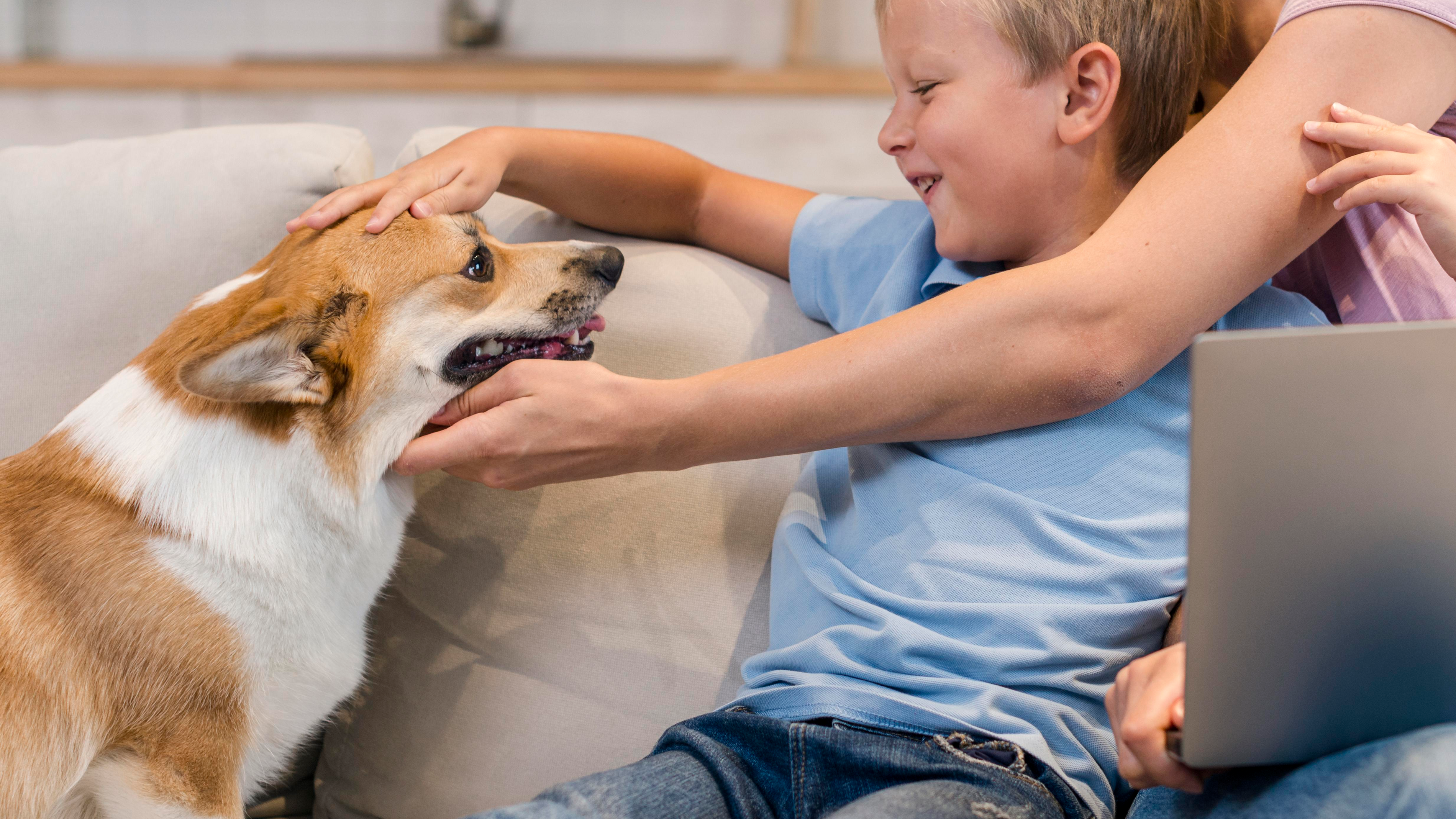 Best Outdoor Sofas That Survive Rain, Sun, and Pets